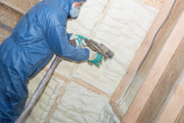 Best Weatherproofing Services  in Trempealeau, WI